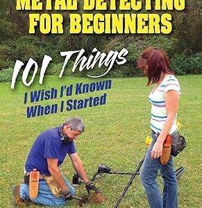 Metal Detecting For Beginners Image
