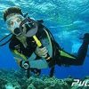 Nokta Pulsedive Scuba Detector Pinpointer Image
